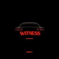 Witness