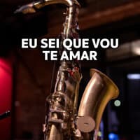 Eu Sei Que Vou Te Amar