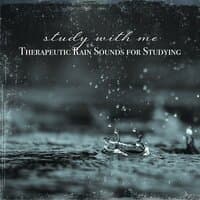 Study with Me: Therapeutic Rain Sounds for Studying