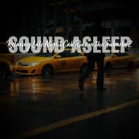 Sound Asleep: Relaxing Late Night Cab Ride in the Suburbs 2