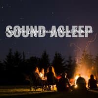 Sound Asleep: Cozy Moon Lodge Evening Natural Ambience