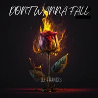 Don't Wanna Fall