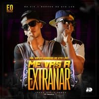 Me Vas a Extrañar