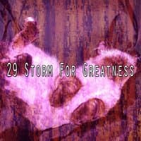 29 Storm for Greatness