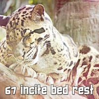 67 Incite Bed Rest