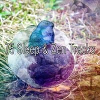 75 Sleep & Zen Tracks