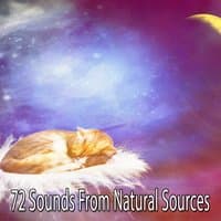 72 Sounds From Natural Sources