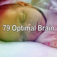 79 Optimal Brain