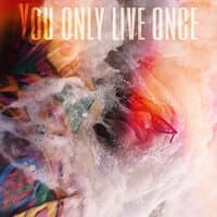 You Only Live Once