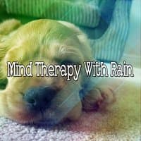 Mind Therapy With Rain