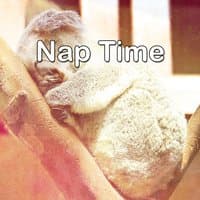 Nap Time