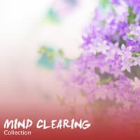 #15 Mind Clearing Collection to Aid Relaxation & Massage