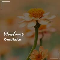 #21 Wondrous Compilation for Deep Sleep Relaxation