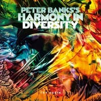 Peter Banks's Harmony in Diversity: Try Again