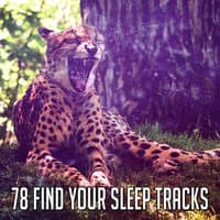 78 Find Your Sleep Tracks