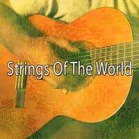 Strings of the World