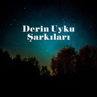 Derin Uyku Şarkıları: Doğa Müzik Güz Uyuyacak, Uykusuzluk Için Tedavi, Stres Azaltma