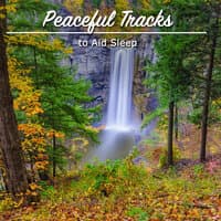 #19 Peaceful Tracks to Aid Sleep