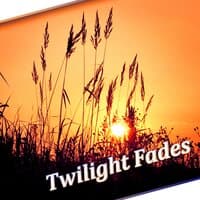 Twilight Fades - Sleep Meditation, Yoga Nidra and Self Hypnosis, Best Relaxing Tracks to Relax and Fall Asleep