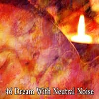 46 Dream with Neutral Noise