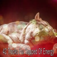 42 Tracks For Sapped Of Energy