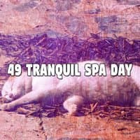 49 Tranquil Spa Day