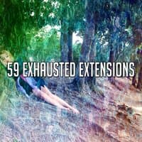 59 Exhausted Extensions