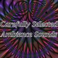 Carefully Selected Ambience Sounds