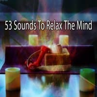 53 Sounds To Relax The Mind