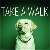 Take a Walk - Calm Down Your Animal Companion, Soothing Nature Sounds for Puppies & Cats