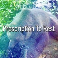 Prescription To Rest