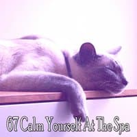 67 Calm Yourself At The Spa