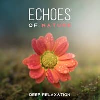 Echoes of Nature – Deep Relaxation: Sounds of Nature for Mindfulness Meditation, Stress Relief, Music for Sleep Aid, Relax Body and Mind, Inner Peace