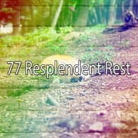 77 Resplendent Rest