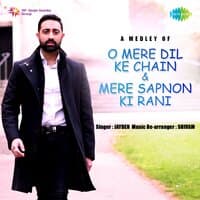 A Medley of O Mere Dil Ke Chain / Mere Sapnon Ki Rani - Single