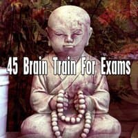 45 Brain Train For Exams