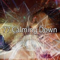 77 Calming Down