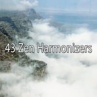 43 Zen Harmonizers