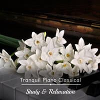 13 Tranquil Piano Classics for Study & Relaxation