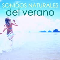 Sonidos Naturales del Verano - Ambiente & Agua del Mar, Olas y Pájaros Cantores del Bosque