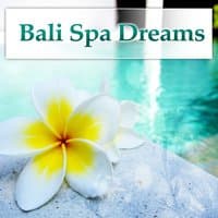 Bali Spa Dreams: Music for Massage and Relaxing, Ambient Soundscapes, Buddha Room, Peaceful Music for Spa and Wellness Center (Relax World)