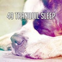 49 Tranquil Sleep