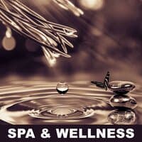 Spa & Wellness – Gentle  Music for Massage, Hot Stone Massage, Classic Massage, Full of Peacefull Nature Sounds for Deep Relax, Stress Relief After Heavy Day