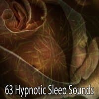 63 Hypnotic Sleep Sounds