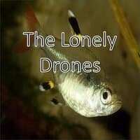 The Lonely Drones