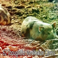 62 Thoughtful Meditation Caress