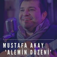 Alemin Düzeni