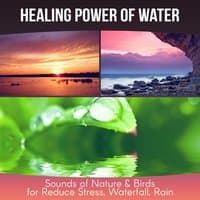 Healing Power of Water - Therapy Music for Yoga Meditation, Sounds of Nature & Birds for Reduce Stress, Waterfall, Rain