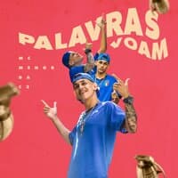 Palavras Voam