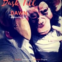 Dusk Till Dawn (Electro Pop 2017)